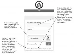 Layout 1